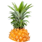 不只是产品合规！欧盟PPWR包装法规8月12日生效；化妆品企业落地操作步骤与DoC模板全指南