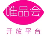 VOP 2020下半年安全巡检