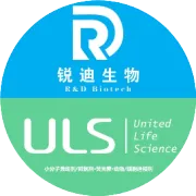 4月南京小分子药物研究与开发论坛邀您共赴春日之约！