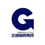 【纳海资讯】来宾港武宣港区桐岭四安林场作业区1号2号泊位工程港口岸线使用申请顺利通过专家评审