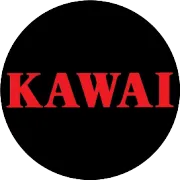 KAWAI钢琴之夜——祁特独奏音乐会