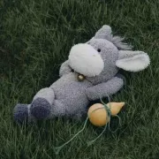 每次点炸鸡都手抖！韩国网友吐槽：炸鸡涨价太快，痛失炸鸡自由！