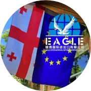 从第比利斯到全世界：格鲁吉亚自贸区——中国企业出海的欧亚超级跳板