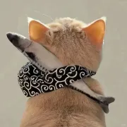 Steam十一月促销三连弹拆解：从小店经营到黑五大促的省钱全攻略