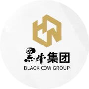 黑牛国际——为城市赋能 让企业增值