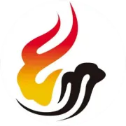 大型集团招投标系统开发（全流程数字化管控方案）