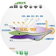 纺织企业如何应对TPP    行业大讨论在沪举行