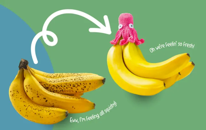 年收百万美金，小众产品独立站如何海外爆单？