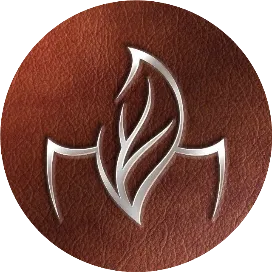 中雪灰灰订阅号