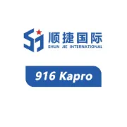 小寒来袭，顺捷温暖护航 —— 俄罗斯专线物流的冬日坚守
