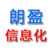 项目型新新业财