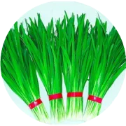 Zomoooo跟踪交易操作计划（第三十八期2015.12.9）