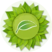 广州翘宇投资咨询有限公司