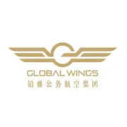 【巴西航空工业公司】共传奇，享天下，尊荣力现，王者见证。神秘面纱，即将揭晓......