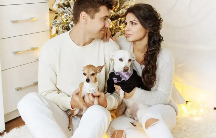 “萌宠经济”升温，一个新的跨境电商风口！