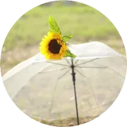 配色分享|学习Cell配色代码