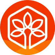 家谱的格式：家谱编撰包含哪些内容