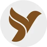 政策直击| 四部门出手 直播行业步入正轨