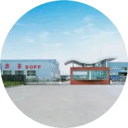 浙江奔多2024.3.8节日回顾