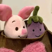 王海东赴广东开展招商引资考察