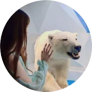 分享12月那批亚马逊欧洲本土账号KYC扫号解决方案