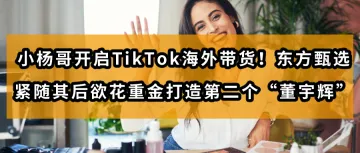 疯狂小杨哥开启TikTok海外带货！东方甄选紧随其后欲花重金打造第二个“董宇辉”！