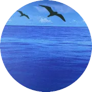 Shopify独立站SEO实战分享3