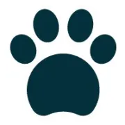 知乎SQL优化挑战赛题目3解析 - 性能提升500倍的内幕