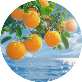 晟光漫染山河