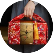 金康迎春
