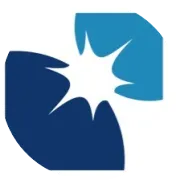 光电技术专题| 颠覆视觉科技：大面积双层WS2引领双视角有源像素图像传感器革命