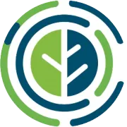 CEMS技术 | 二氧化碳CEMS实测法与核算法数据比较