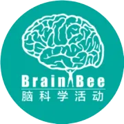2026年脑科学创新挑战赛（Brain Challenge）常见问题
