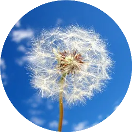 孙吴我的太阳公布