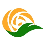 《健康食材与电商行业：开启线上健康饮食新时代》