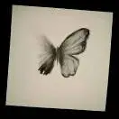 一勺盛出情绪价值，跨境电商新风口炸裂了！｜盲勺爆火背后，谁在收割年轻人的心？