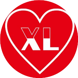 深圳市芯岭技术有限公司