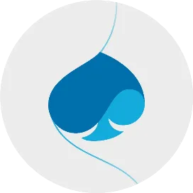 凯捷中国Capgemini