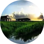 【临港桔子水晶酒店】2天1晚238元住现代美学酒店，享特色自助早餐，免费下午茶，赏滴水湖，玩海昌公园 免费KTV&棋牌，健身房