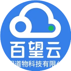 百望云服务商