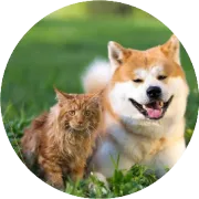 返利机器人使用教程 | 淘宝、京东、唯品会、拼多多、抖音、快手6大平台通用