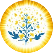 海淀实验小学非遗“堆绣”活动部分图片8