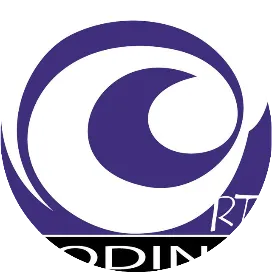 Artcoding武汉预言