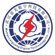 关于开展武汉雷光数字科技有限公司中层管理岗位公开竞聘的通知