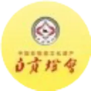 自贡彩灯文化传播运营有限公司