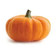 SECS/GEM是什么？