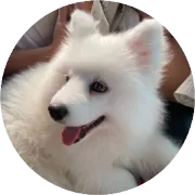 如何通俗理解：非现金对价、应付客户对价—25年CPA会计《收入》逐句分析原理