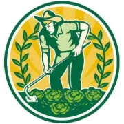 牛市中的带血筹码重灾区（1）