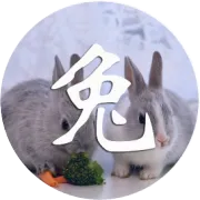 属兔人-明日运势（12月22日）