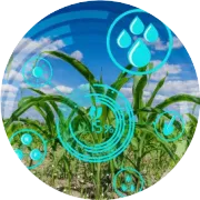 枭润日报|政策:国家将推动农业生产数字化转型;农产品供应链是个啥;设施农业:解决我国农业人多地少难题